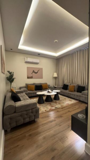 شقة غرفة نوم وصالة معيشة بتصميم عصري